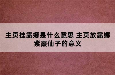 主页挂露娜是什么意思 主页放露娜紫霞仙子的意义